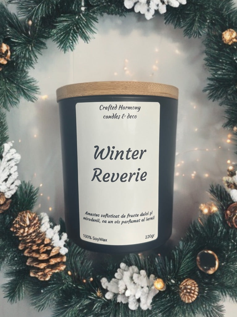 winter reverie